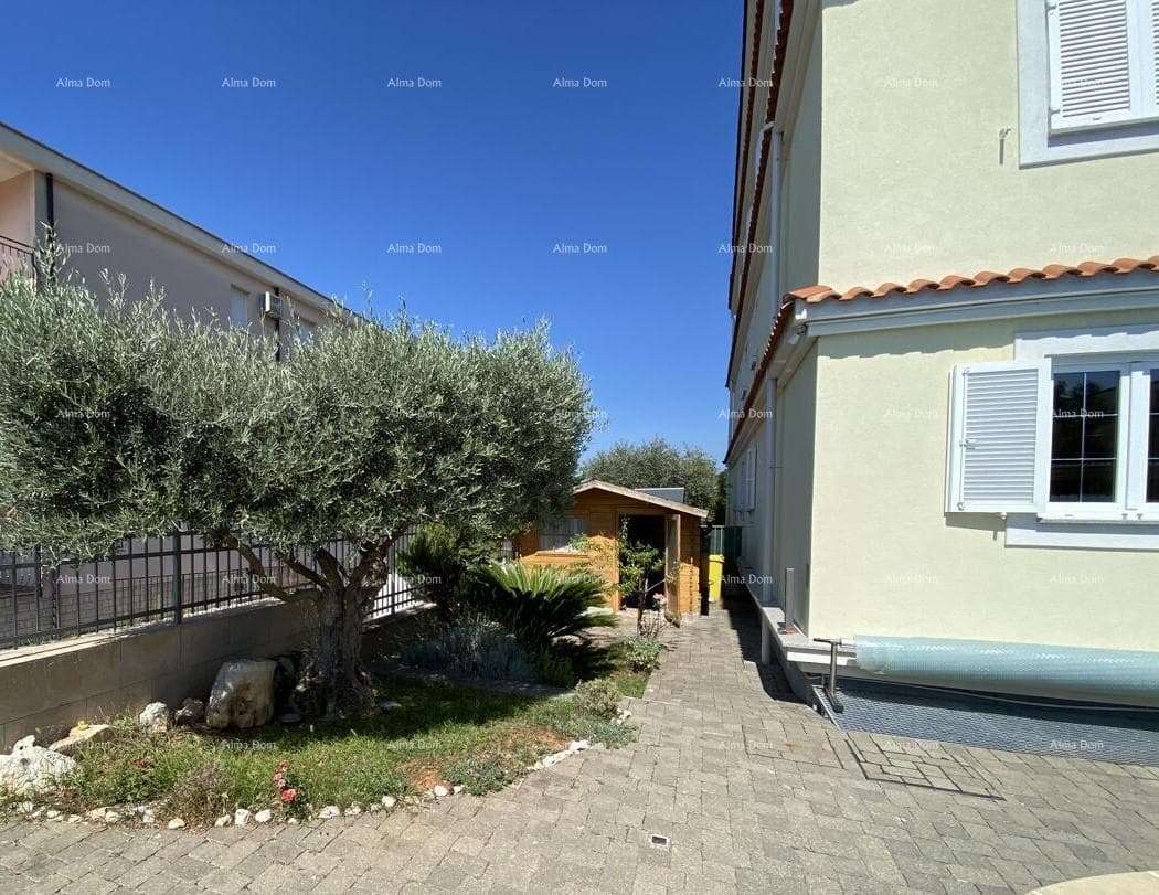image-15
