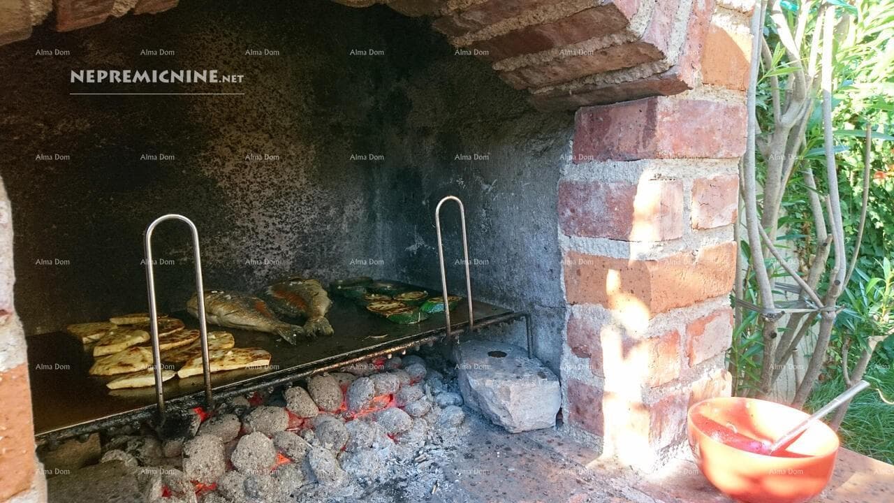 image-19