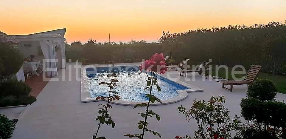 image-9