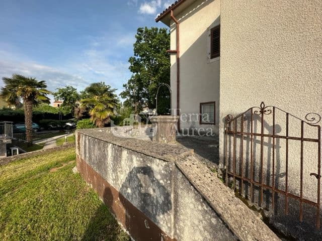 image-19