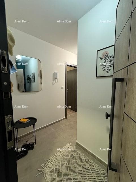 image-19