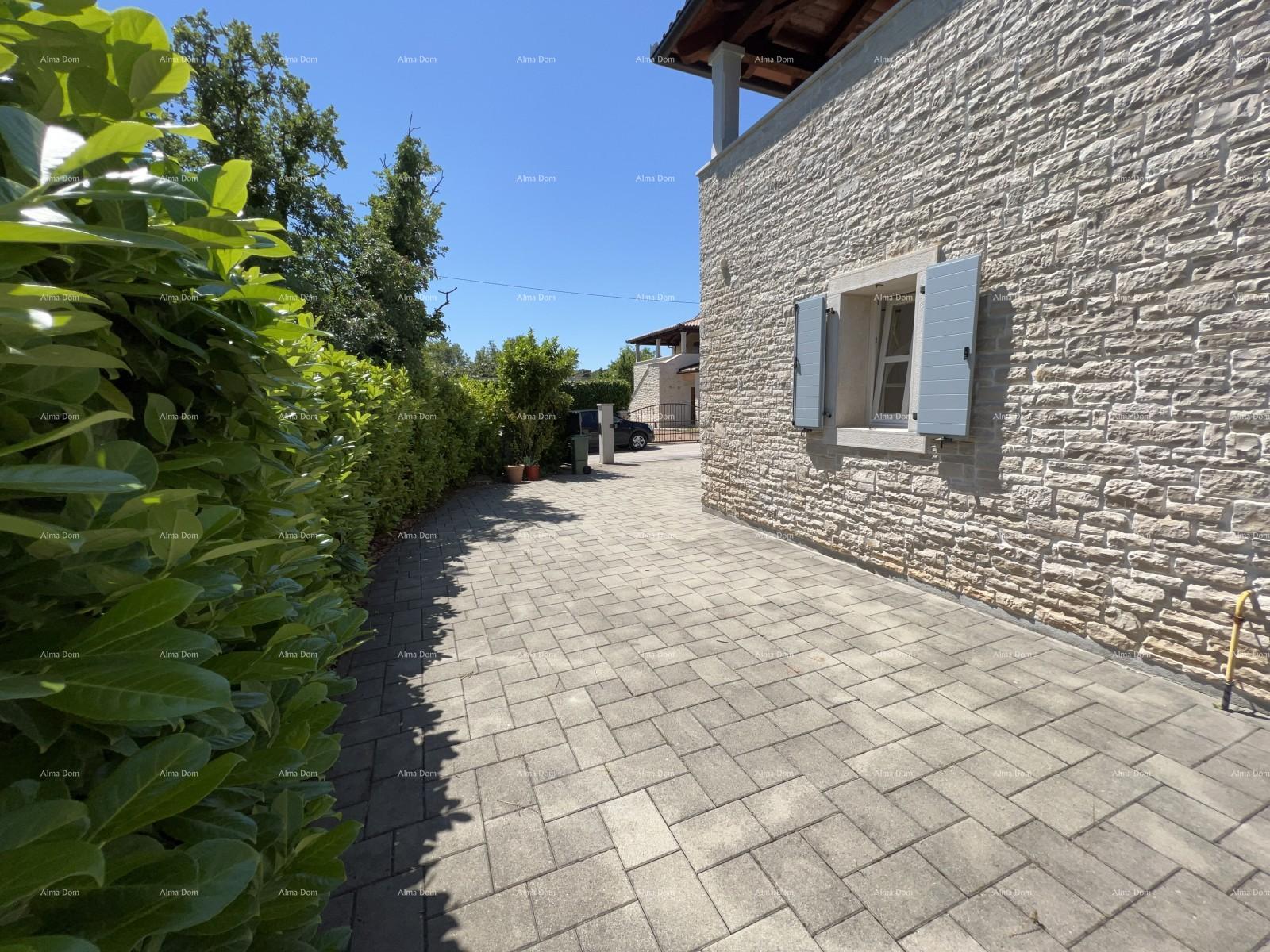image-20
