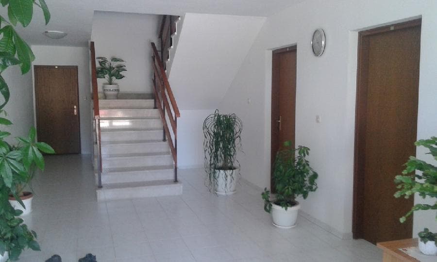 image-19
