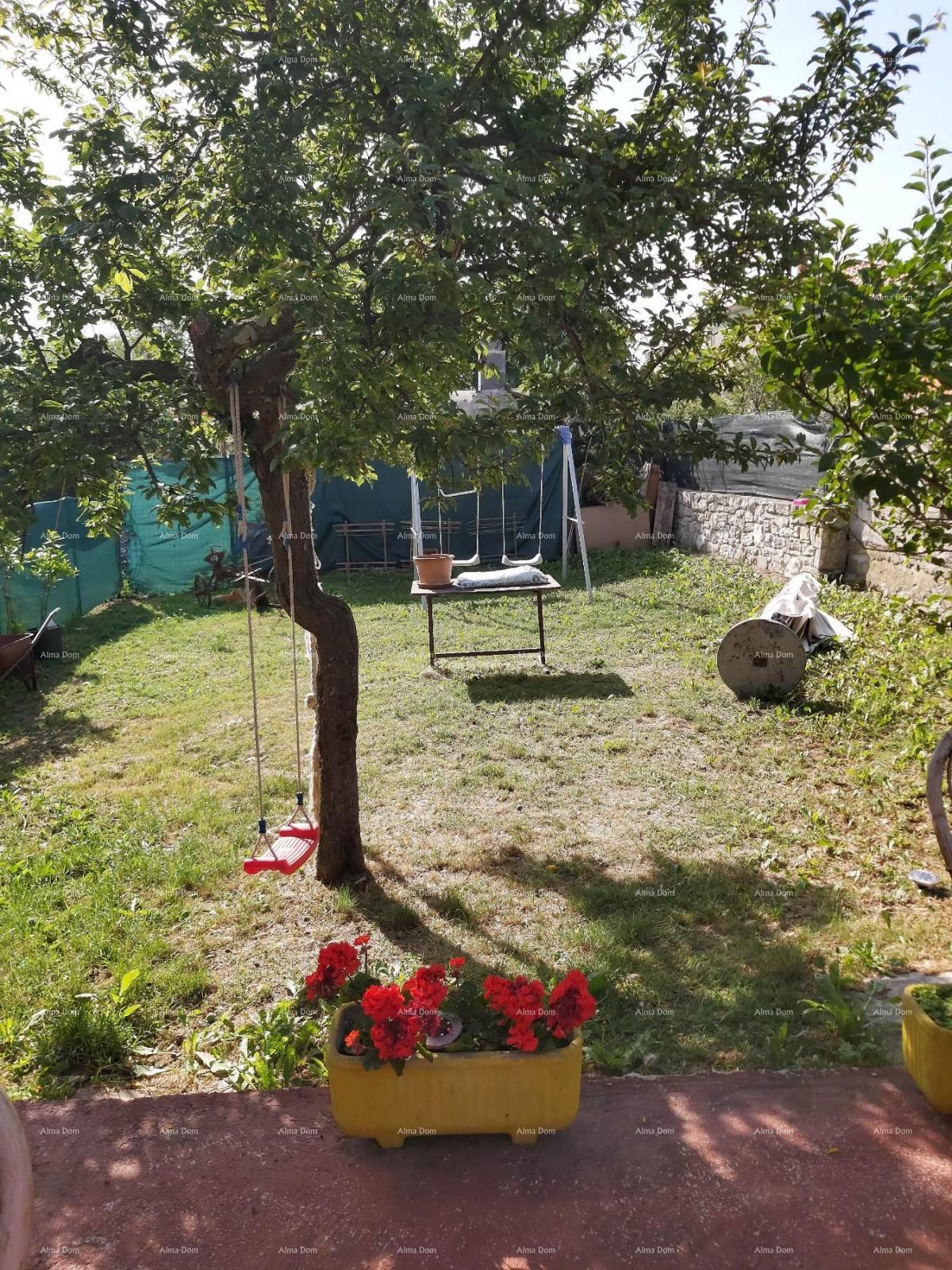 image-19