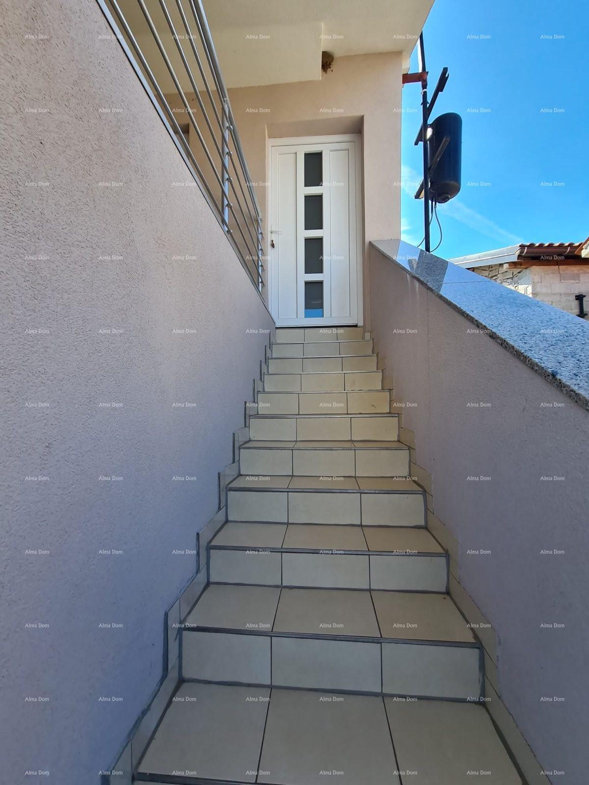 image-19