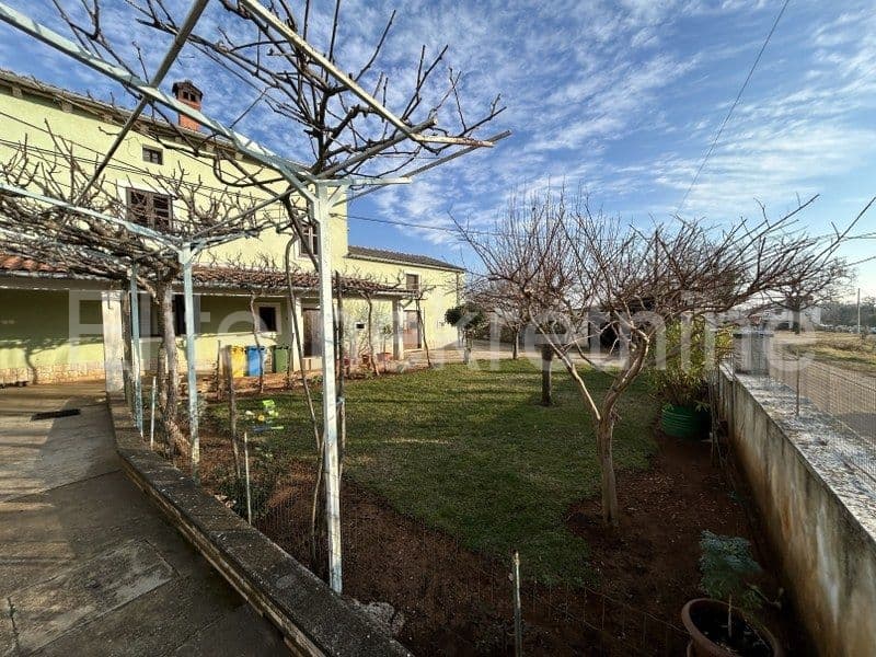 image-19