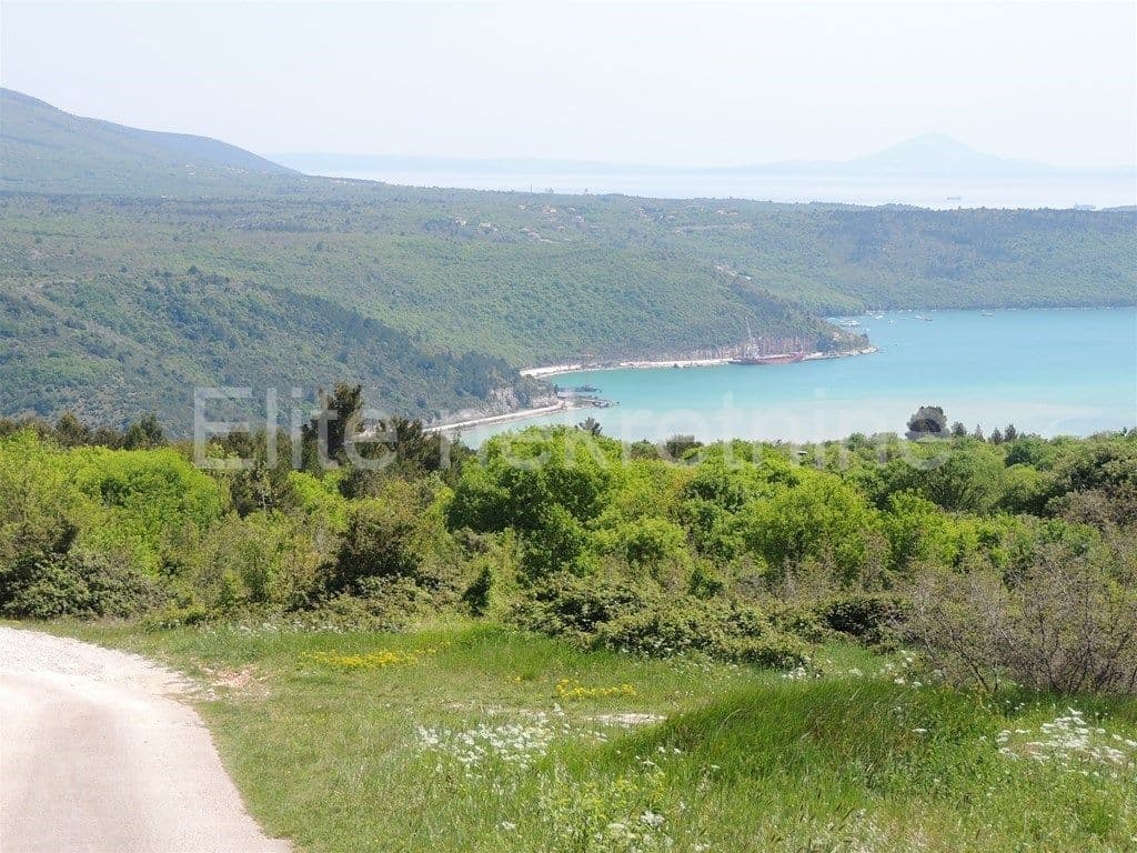 image-4