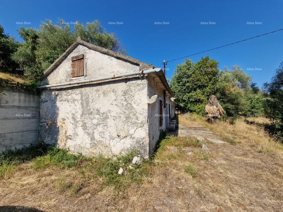 image-14