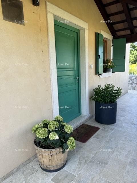 image-14