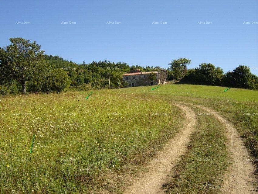image-6