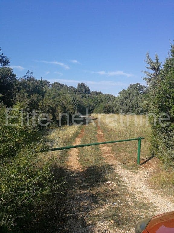 image-3