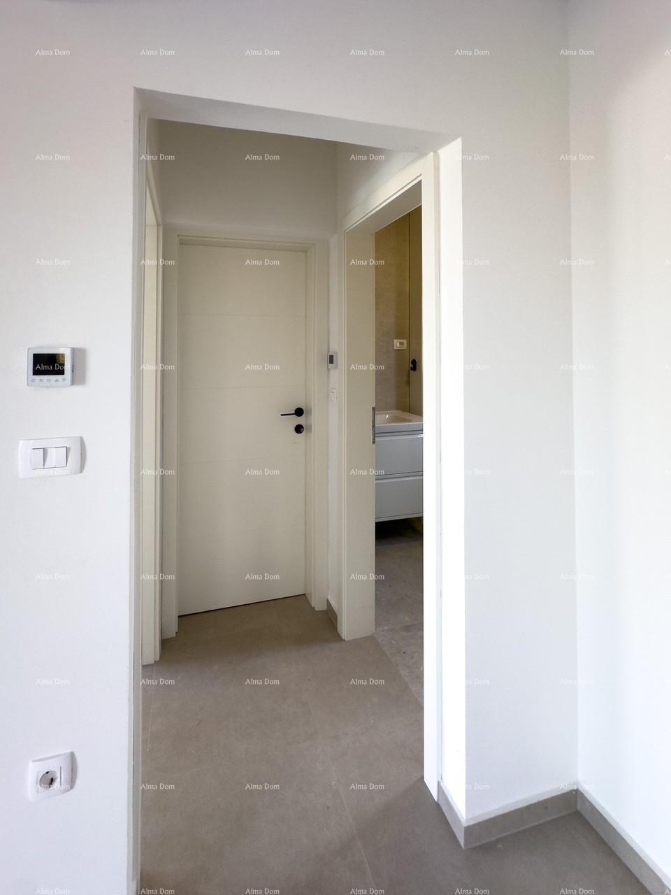 image-19