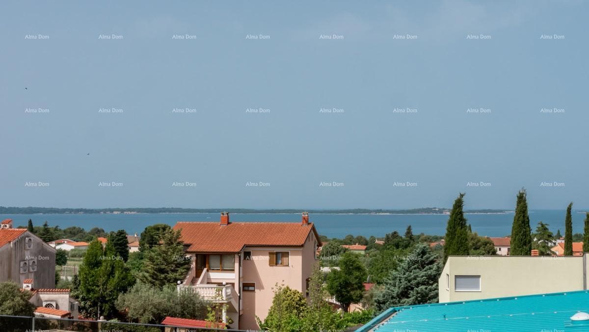 image-43