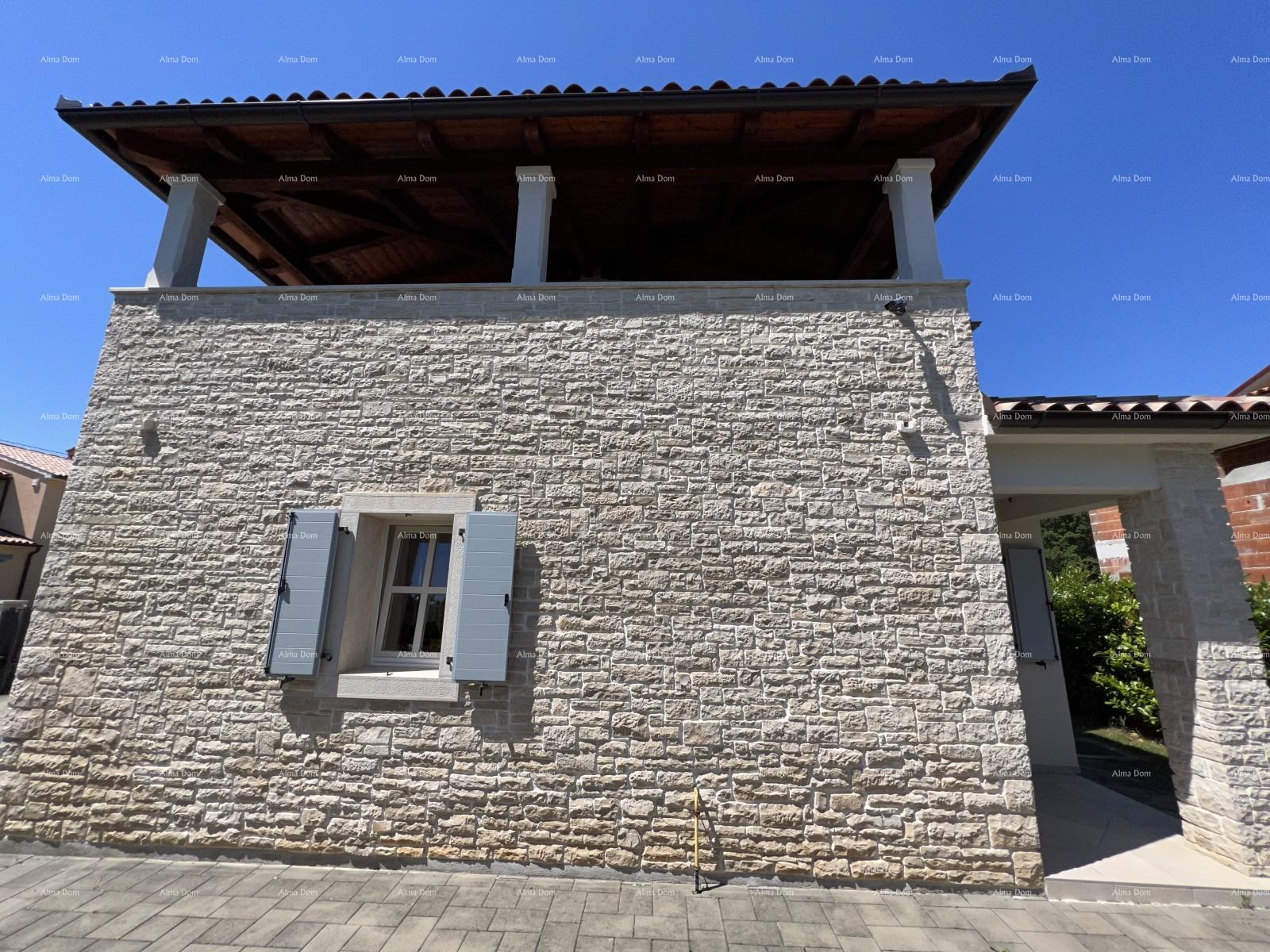 image-19