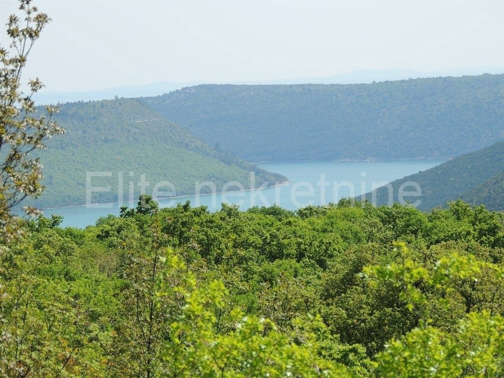 image-5