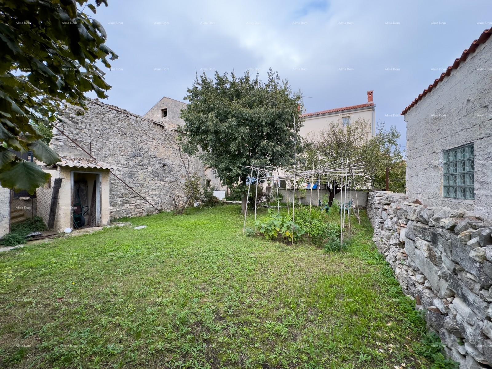 image-18