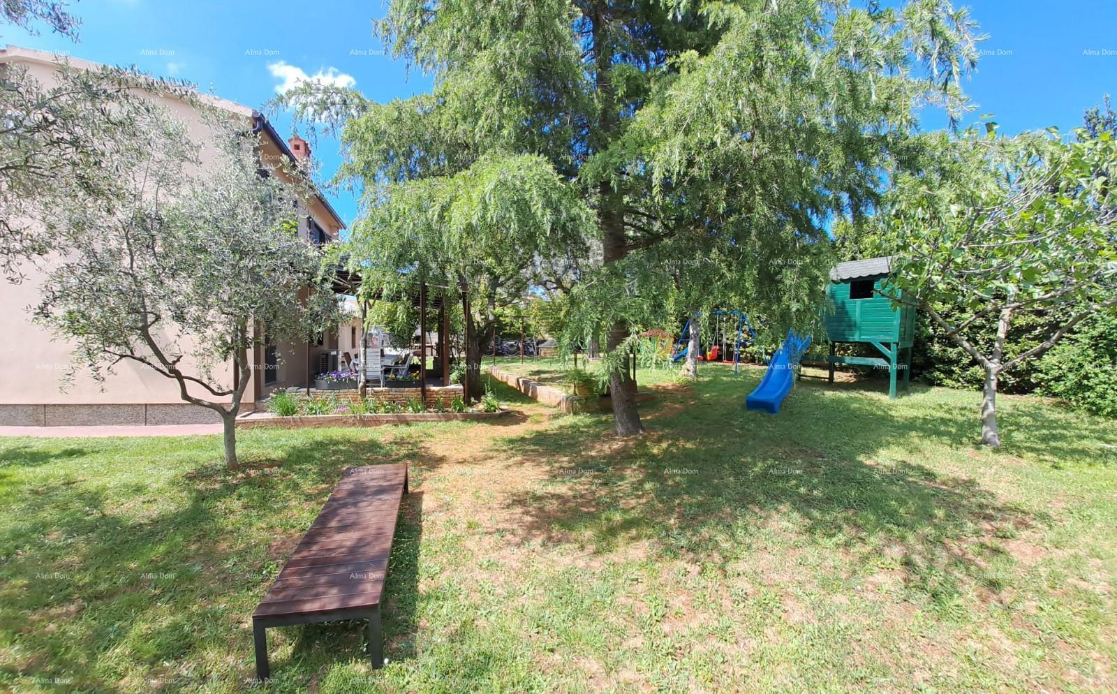 image-19