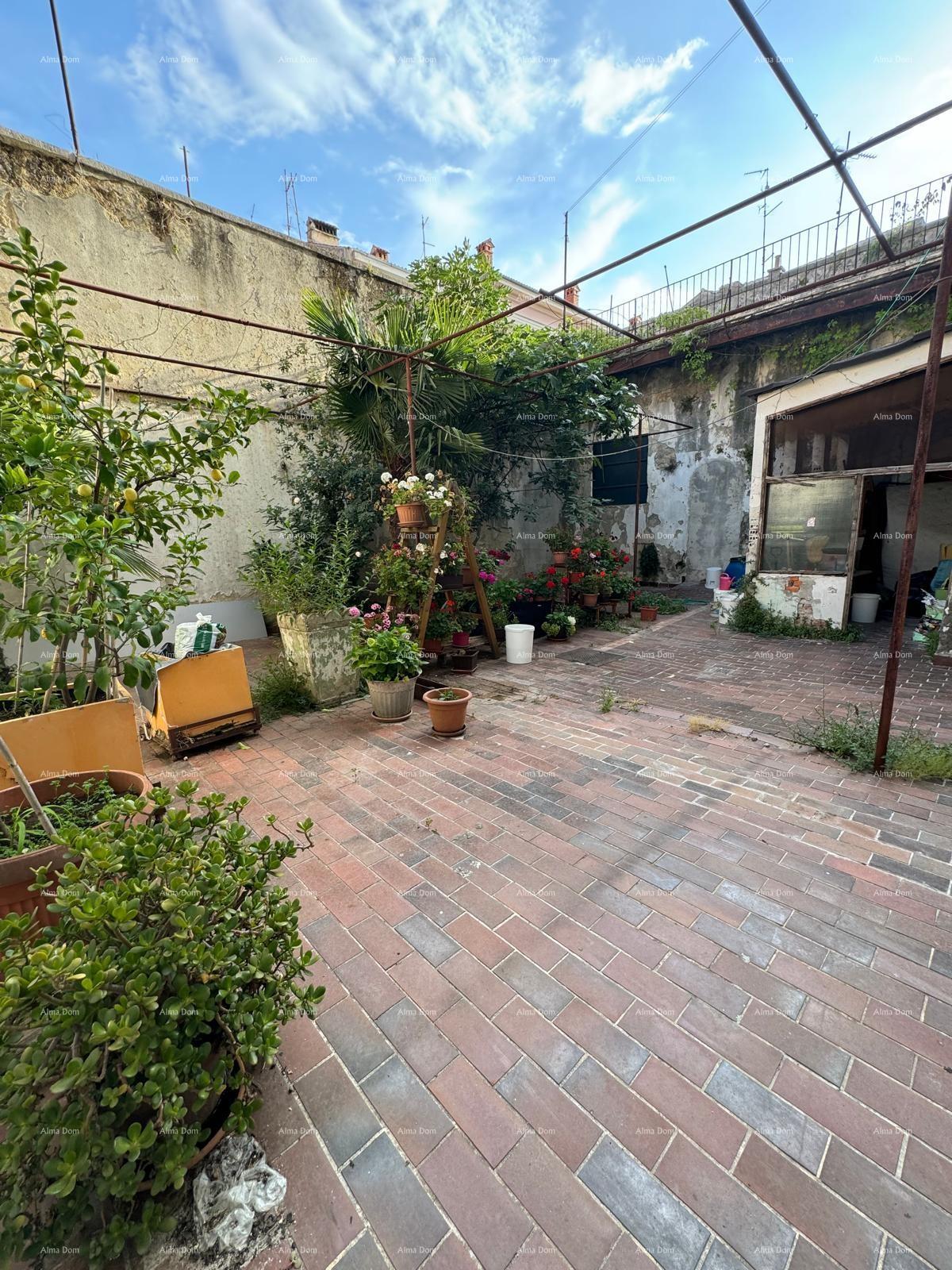 image-19