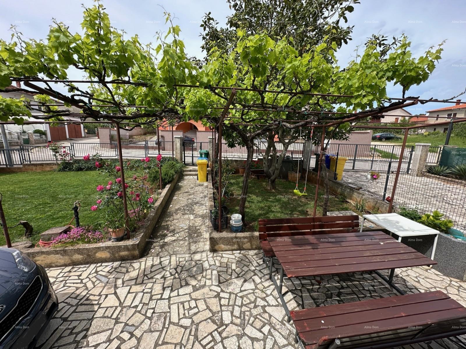image-20