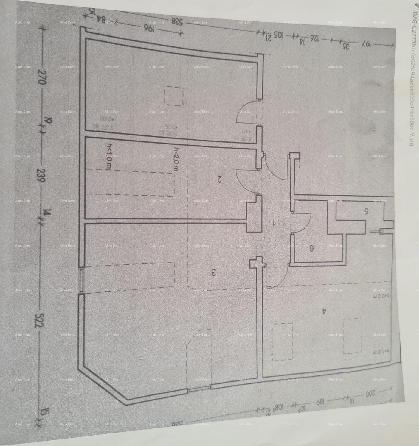 image-14