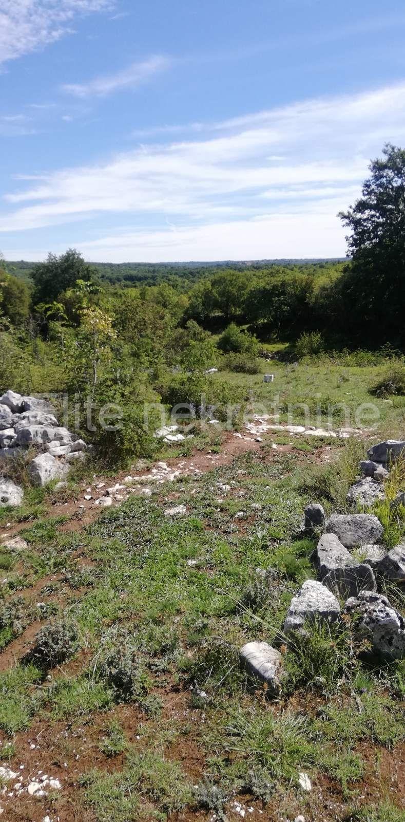 image-19