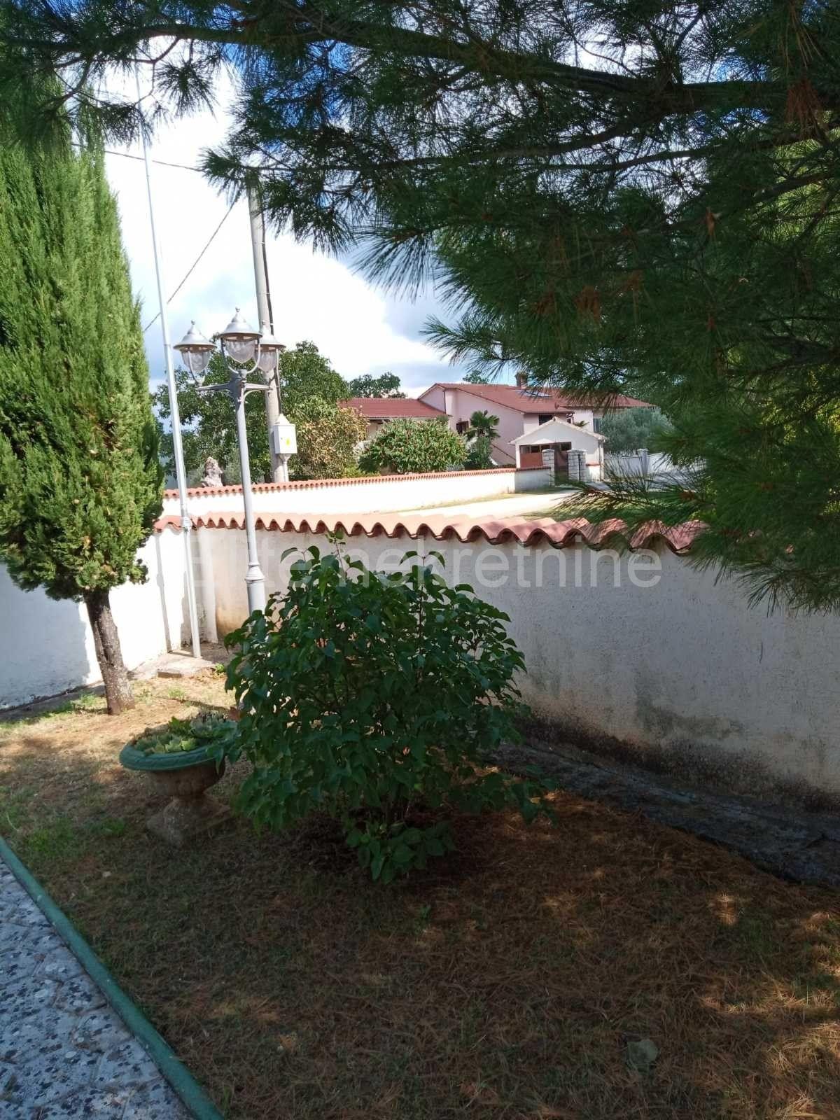 image-26
