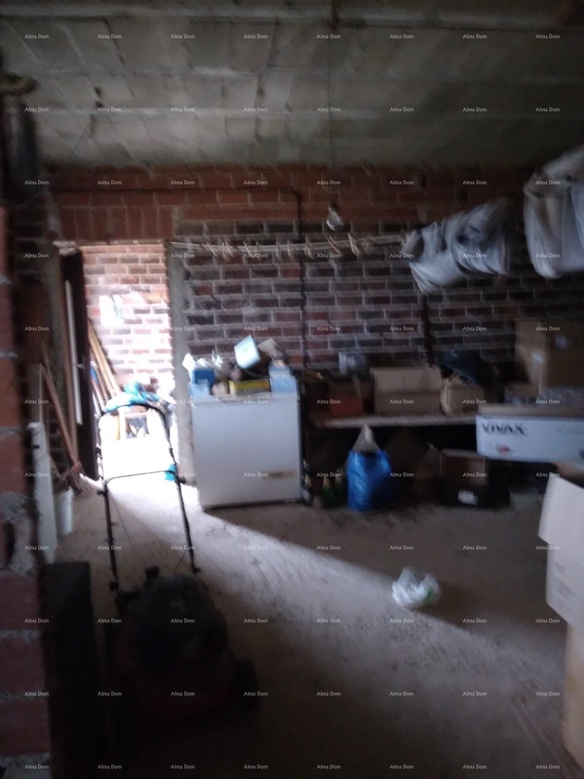 image-19
