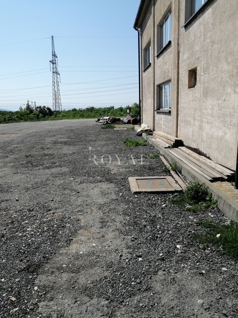 image-20