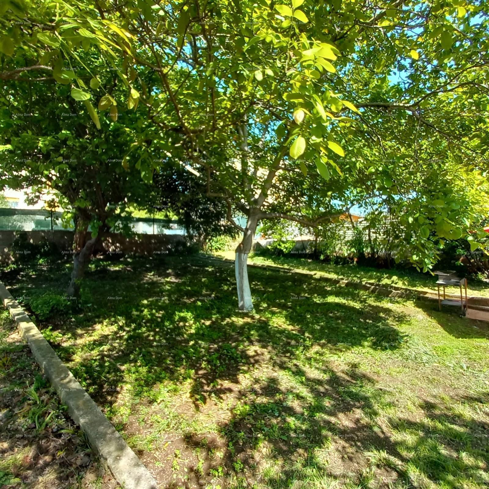 image-20