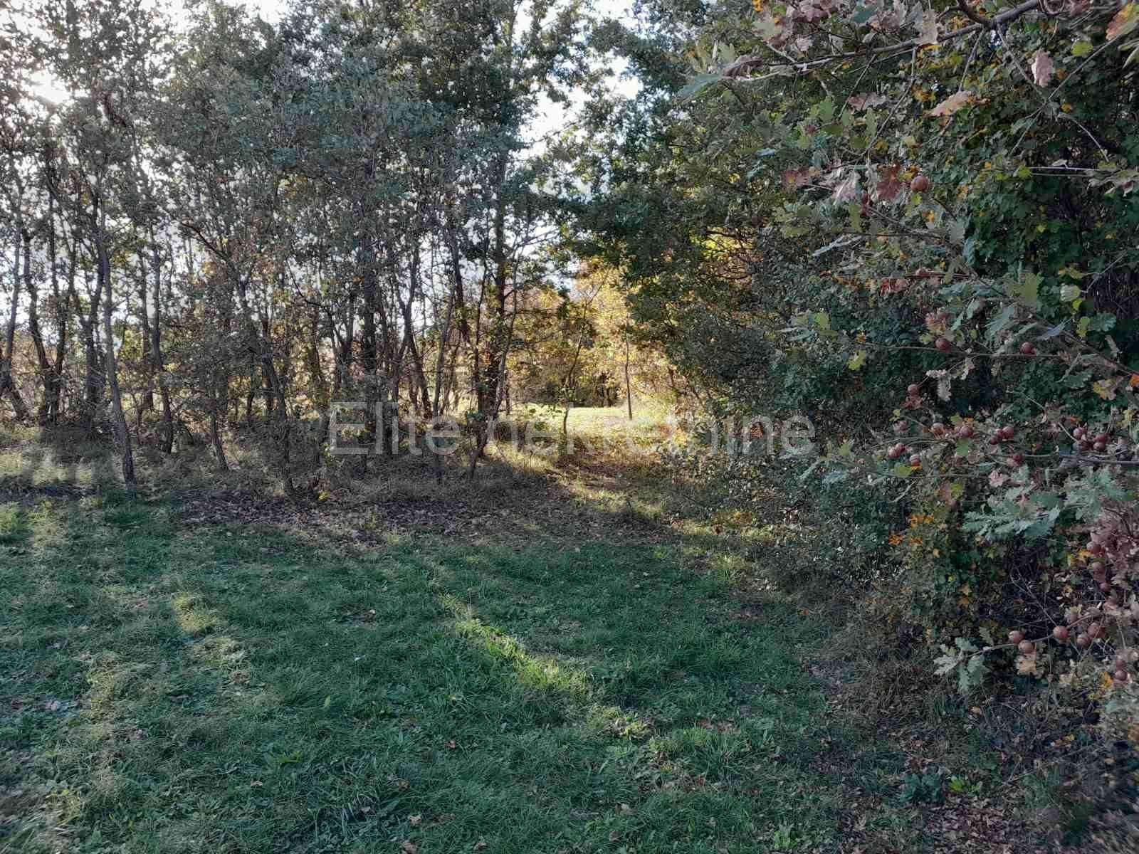 image-18