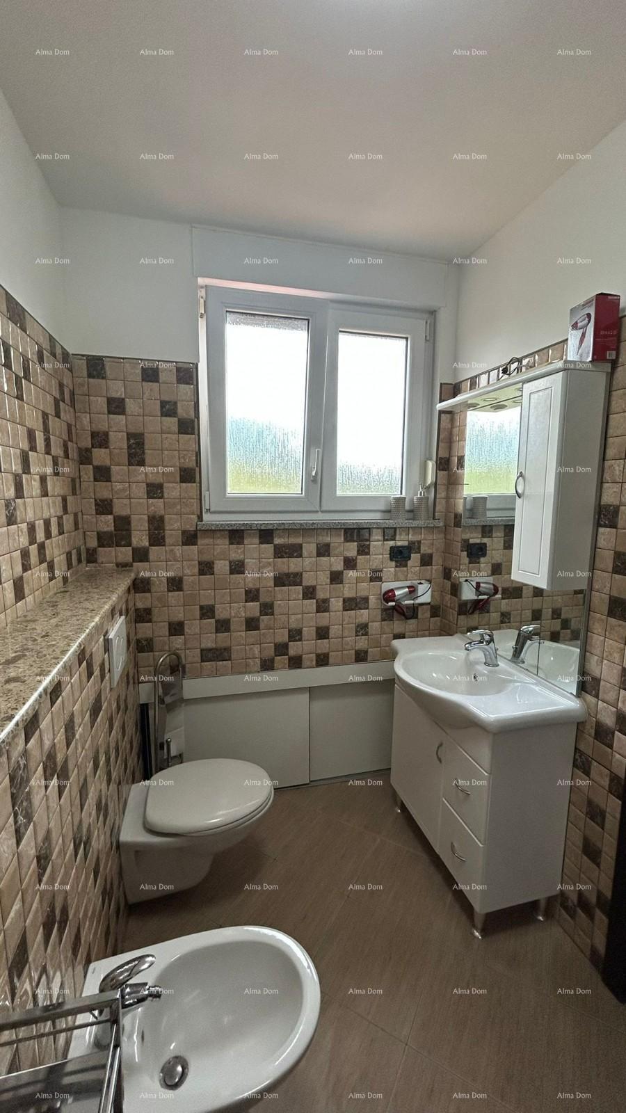 image-19