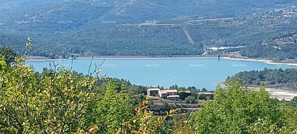 image-5