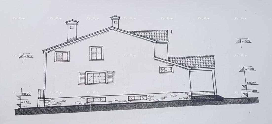 image-19